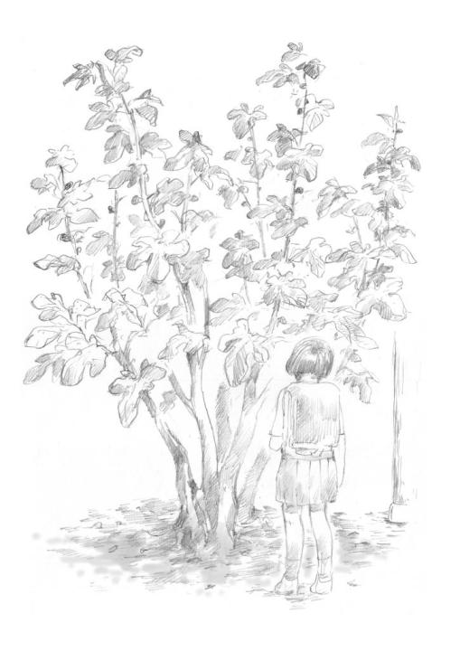 座朱欒 白井弓子の投稿作品「いちじくジャム」