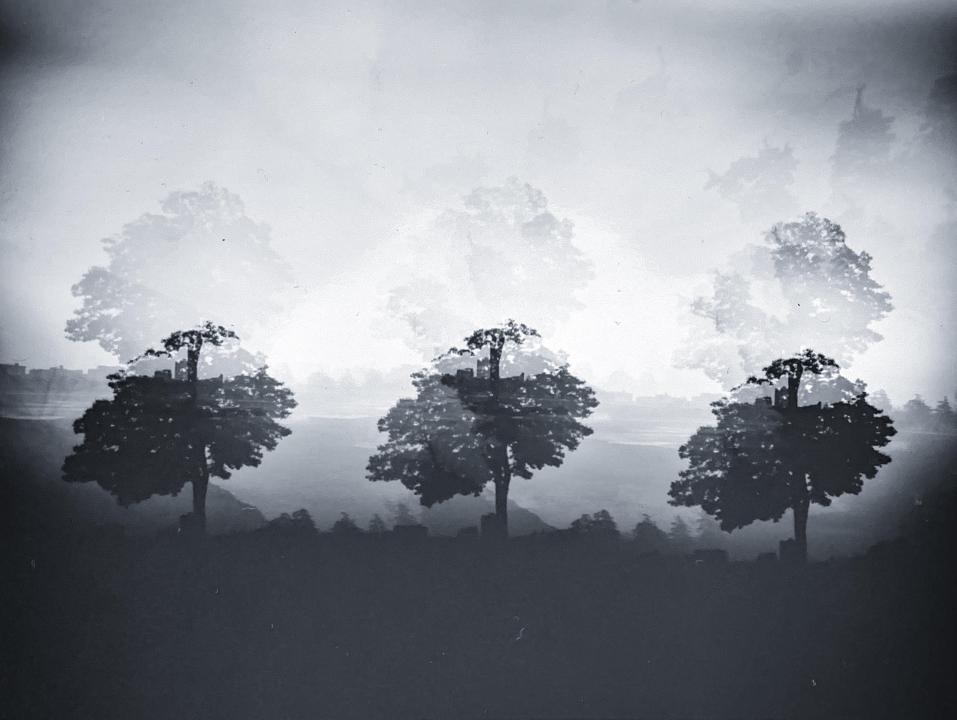 座朱欒 みの投稿作品「doppelganger」